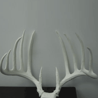 NeoMetrix Antler Project Image 1
