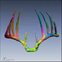 NeoMetrix Antler Project Image 2
