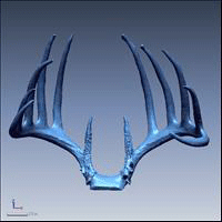 NeoMetrix Antler Project Image 3
